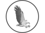 Sea Eagle Logo